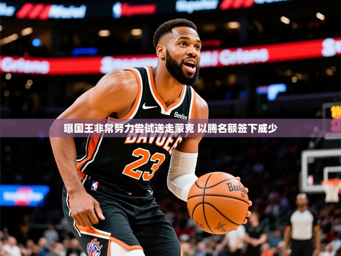 2025安博体育官网入口曝国王非常努力尝试送走蒙克 以腾名额签下威少