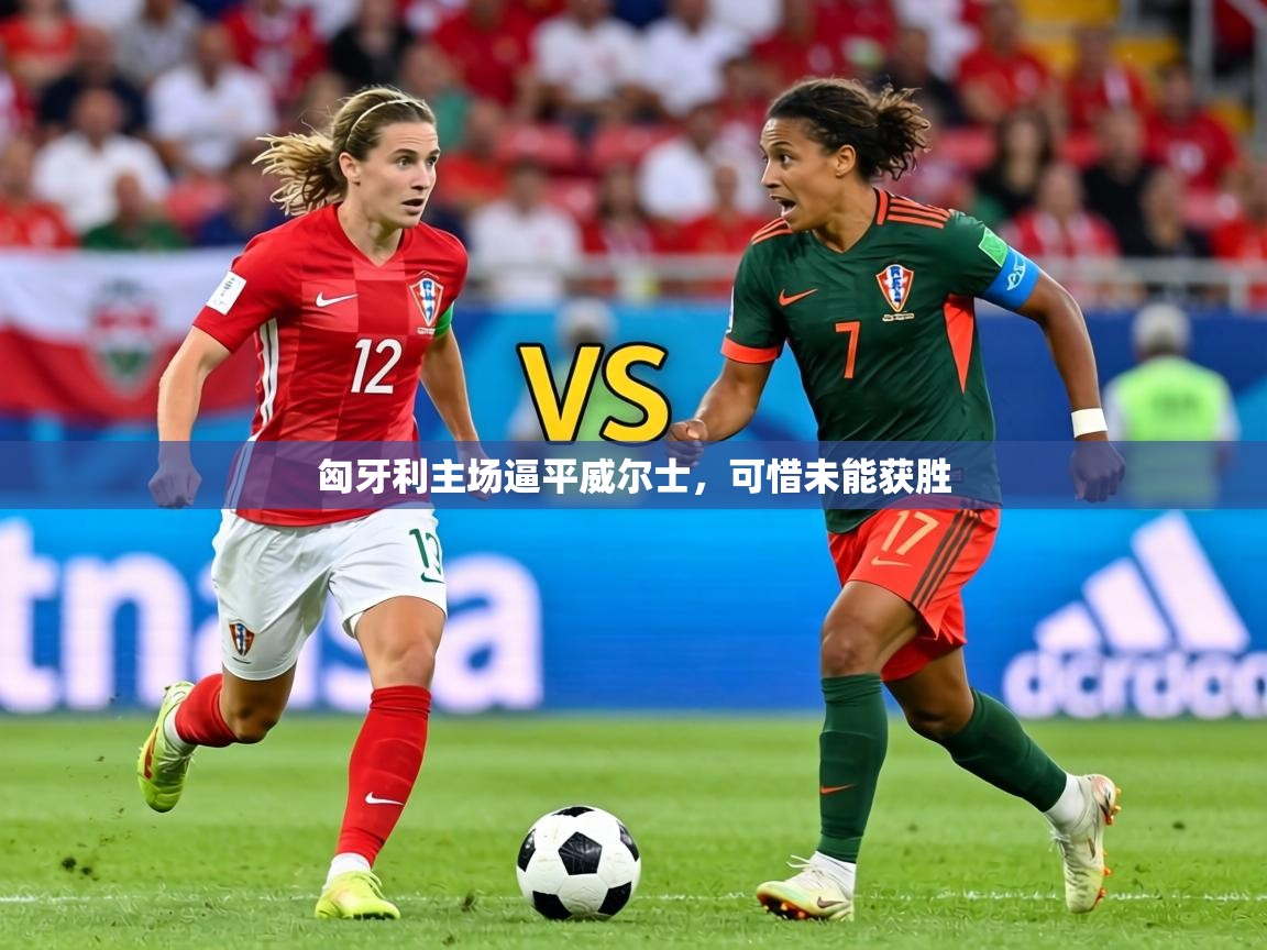 2026安博体育能提现吗匈牙利主场逼平威尔士，可惜未能获胜